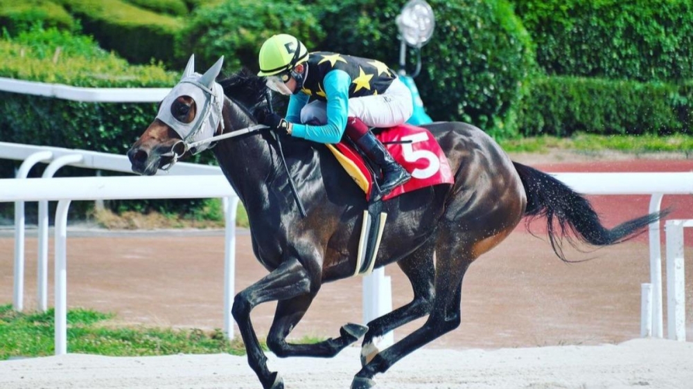 日本中央競馬協會（JRA）10日宣布，21歲馬術選手角田大河死亡，死亡原因未說明。（圖擷取自角田大河IG）