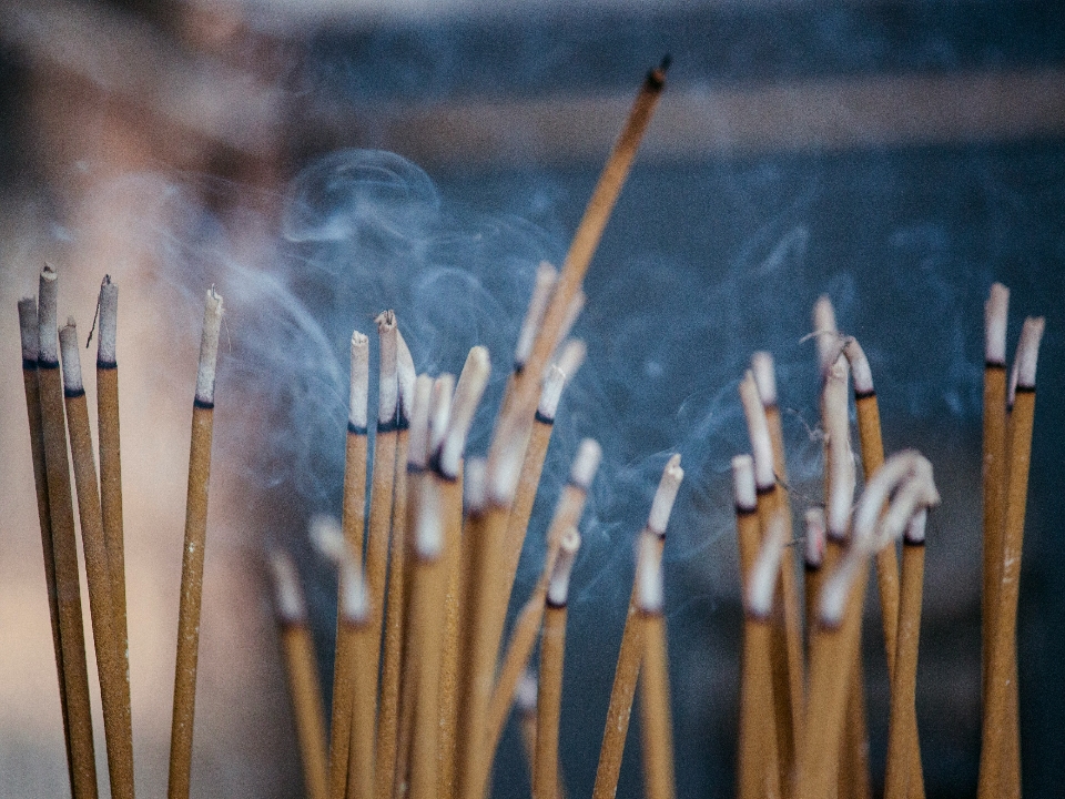 封面示意圖／Photo by Milada Vigerova on Unsplash