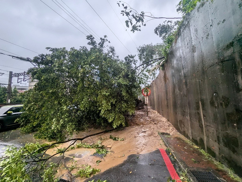 颱風山陀兒來襲，新北市災害應變中心3日表示，2日下半天至3日清晨4時，瑞芳區累積降雨量為全國最大，部分邊坡土石滑落，樹木與竹子傾倒，泥水四溢。（新北消防局提供，中央社傳真）