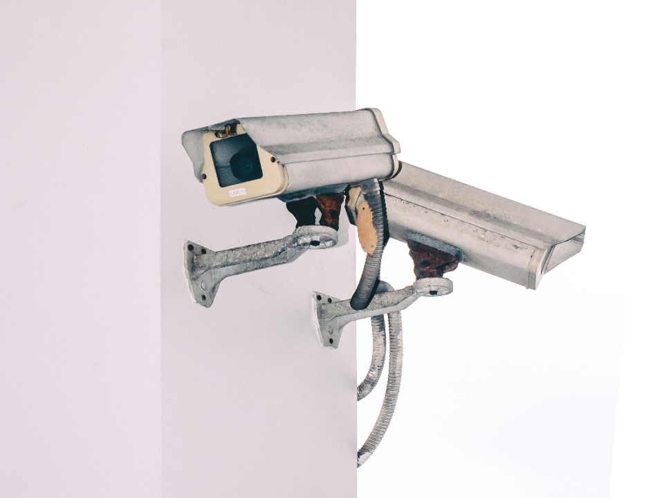 示意圖。擷取自Victor Unsplash。經本報裁剪。