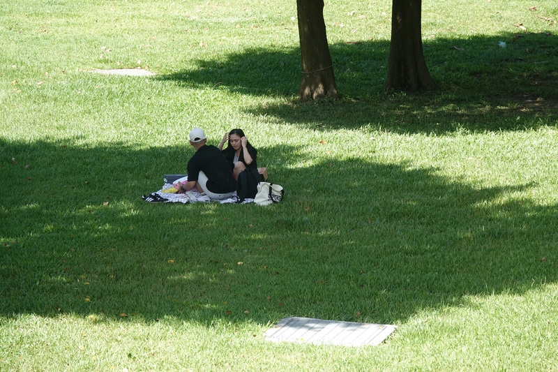 圖為民眾趁著天氣晴朗在台北大湖公園野餐。 （中央社記者鄭傑文攝）