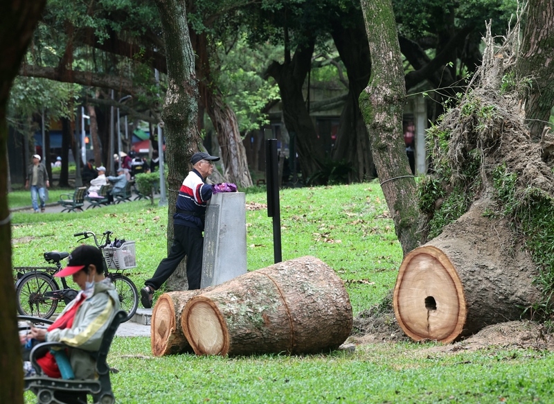 圖為民眾趁著陰天在台北市青年公園運動。 （中央社記者張皓安攝）
