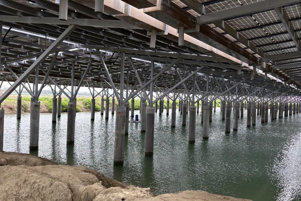 地面光電板遮蔽魚塭，未考量養殖，難以與漁業共存。（圖擷取自張啟楷臉書）