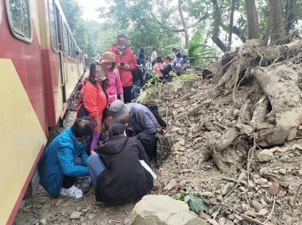劉姓婦人擅自闖入阿里山林鐵軌道遭撞骨折；警方偵訊後將她依公共危險罪嫌函送偵辦。（圖為阿里山林業鐵路及文化資產管理處提供）