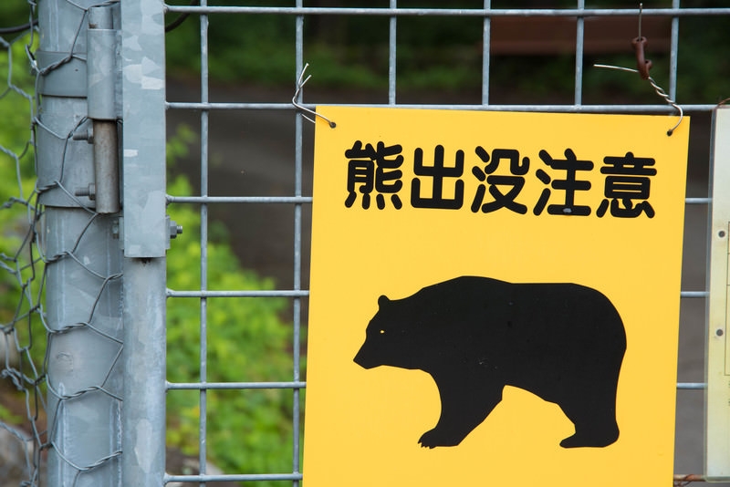 （來源：pakutaso）
