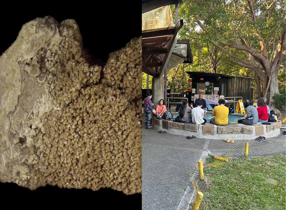 北投石、北投溫泉示意圖。擷取自國立臺灣博物館官網、中央社(台北市產發局提供;記者劉建邦傳真)。經本報裁剪合成。