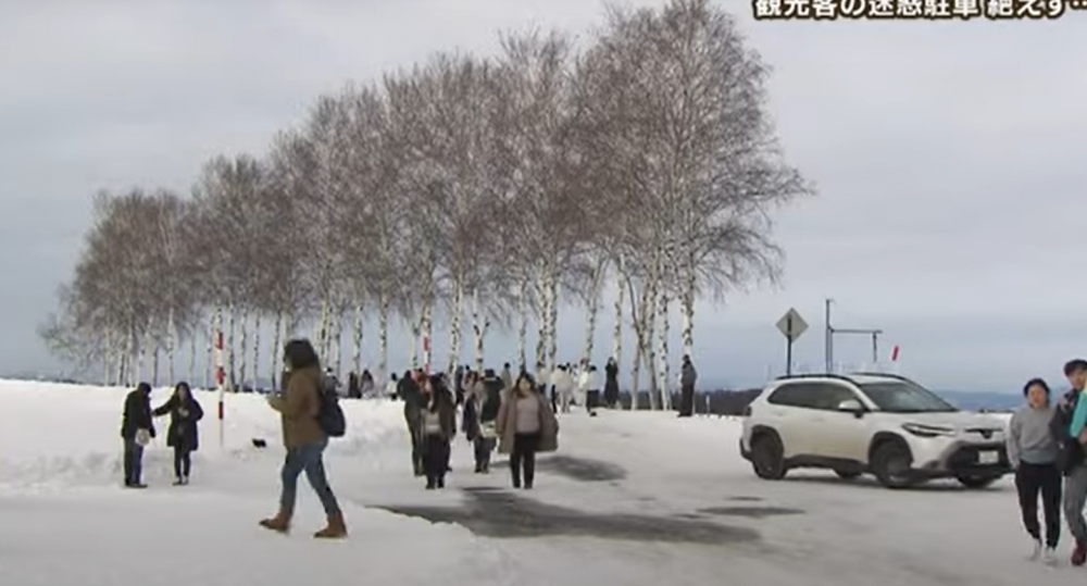 圖/擷取自YT/HTB北海道ニュース