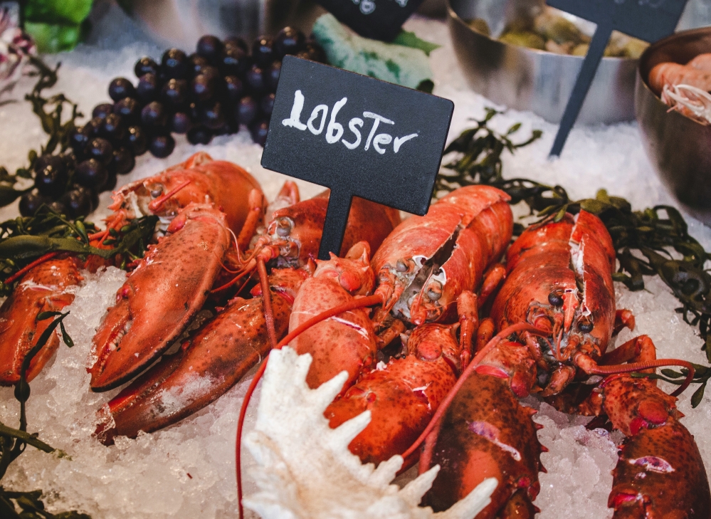 (來源:Photo by Louis Hansel on Unsplash)